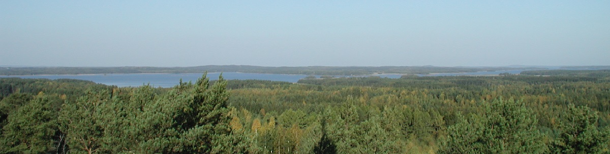 Järvimaisema ilmasta metsän yli kuvattuna kesällä