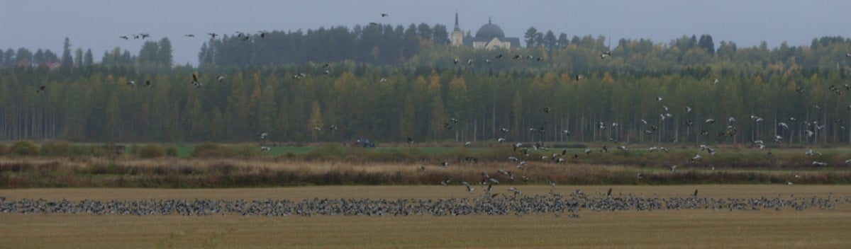 Ilmoitukset ja rekisteröinti