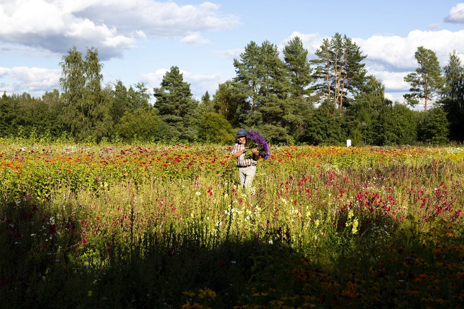 mies kantaa kukkakimppua olallaan