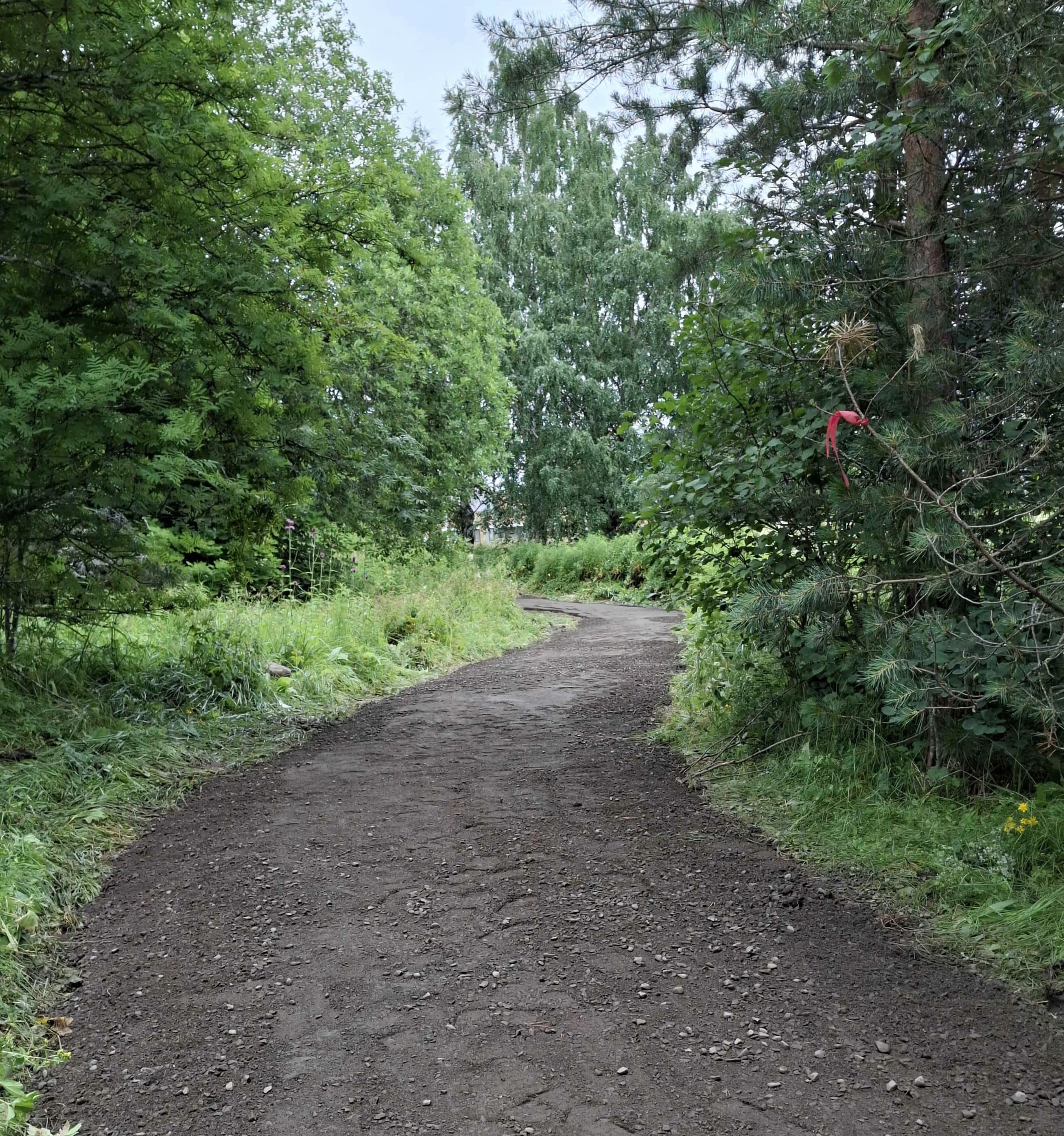 Karttusen kalliopolku alkaa hahmottua Rääkkylän kylämaisemaan